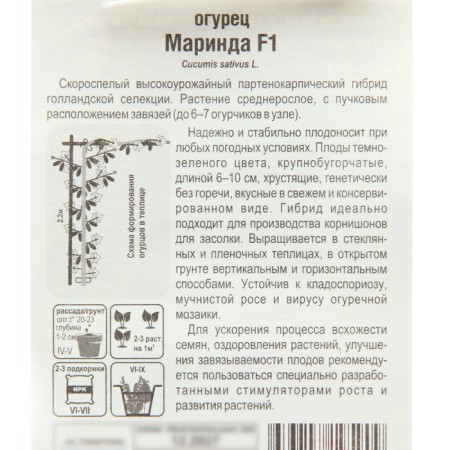 Seeds Cucumber Marinda F1, parthenocarpic, 7 pcs-2