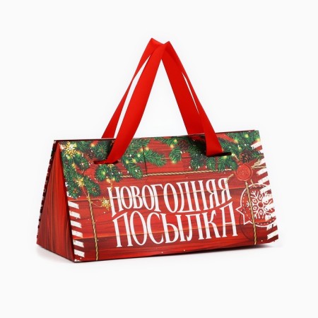 Gift Box "New Year's Park", 24 x 11.5 x 9.5, New Year-1