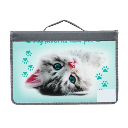 A4 labor folder, with handles, lightning around, laminated cardboard, 30tr44r, calligrata, "gray kitten"-2