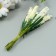 Decor for creativity "Ivan Tea" 1 bouquet = 10 cream flowers 1.5x14 cm