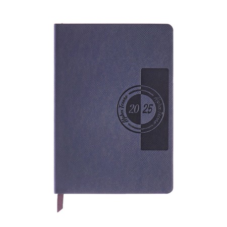 Dated diary of 2025, A6+, 176 sheets "Lyon", solid cover, pancake embossing, with liesa, block 80 g/m2, gray
