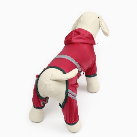 Combiason for dogs, demi-season, size 2hl (DS 34-36, OG 51-53, Osh 39-41 cm), red-3