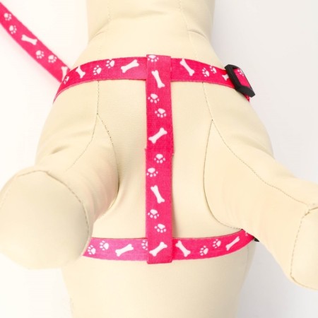 Kapron "Bones and Paws" kit, leash 120 x 1.5 cm, og 30-44 cm, pink-4