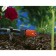Nozzle for drip irrigation, adjustable, set of 10 pcs., In the blister