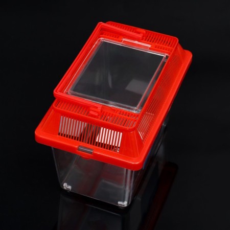 Rectangular carrying, 17.6 x 11.2 x 13 cm, red-2