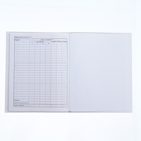 Universal diary for grades 1-11, “what?”, Firm cover, glossy lamination, 40 sheets-8