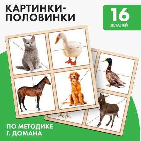 Pictures-Plovinka "Pets"