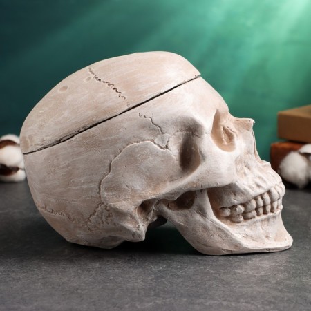 Casket for trifles "Skull" Light Stone, 16x15x22cm-3