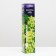 Grape seedling Timur, spring 2024, 1 pc.