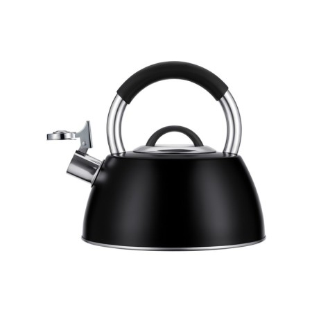 Teapot Regent Inox Tea, with a whistle, 3 l + a titting gift for brewing tea-2