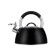 Teapot Regent Inox Tea, with a whistle, 3 l + a titting gift for brewing tea
