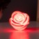 Night Rose 2W LED LR44 Red 6.6x6.6x4cm