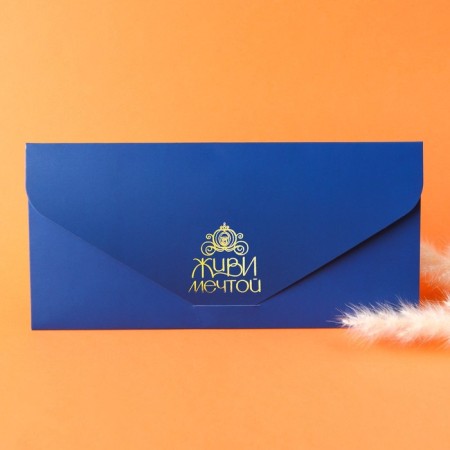 Envelope for money, soft. Tach, 19x9 cm "Live Dream", Princess-1