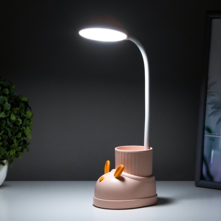 Table lamp "Boat Hare" LED 3 modes 3W USB Organizer Pink 8x11x31 cm Risalux-3