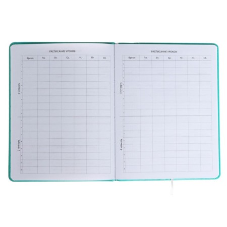 Universal diary for grade 1-11 "Mordashka.shiba", solid cover, artificial leather, foam rubber, liesa, 80 g/m2-4