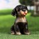 Garden figure "Rotweiler Puppy" 13x15x18cm