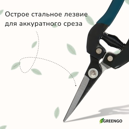 Garden scissors, 8 "(20 cm), with plastic handles, Greengo-5
