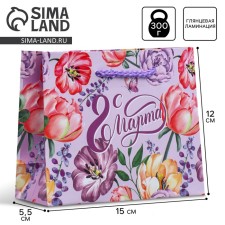 Package Gift Laminated Horizontal, Packaging, 
