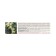 Gel-Activa for the body natural pharmacy lemon and tea tree oil, 75 ml