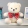 Soft toy "Bear", 26 cm, Mix colors