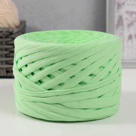 Knitted yarn, width 7-9 mm, 100m/295 g ± 10% (21 - pistachio)