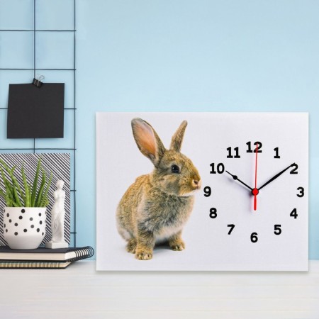 Carty watch wall-mounted "hare", smooth move, 30 x 40 cm, 1 aa-3