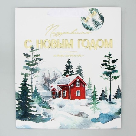 Laminated vertical package, congregation “Happy New Year”, Ml 23 x 27 x 11.5 cm, New Year-6