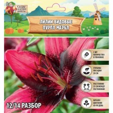 Vidnoye lilies 