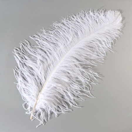 Perum Premium Perum 65-70 cm, white-1