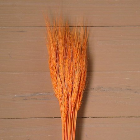 Dry wheat column, set 50 pcs., Orange color-2