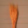 Dry wheat column, set 50 pcs., Orange color