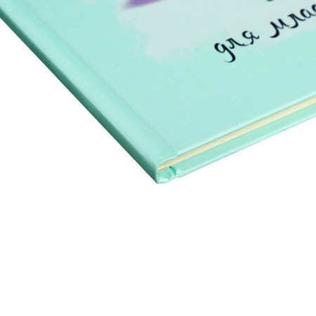 Diary for grades 1-4, solid cover "Girls", matte lamination, selective varnish, block 60 g/m2-2