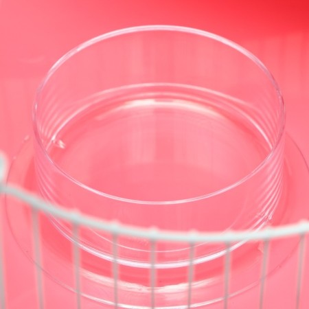 A cage for rodents "Pigzon", equipped with a lock, 37 x 27 x 30 cm, pink-6