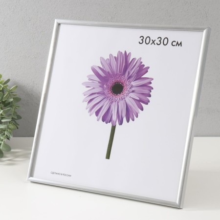 Photo frame plastic LIDA 30x30 cm silver (plastic screen)-1