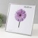 Photo frame plastic LIDA 30x30 cm silver (plastic screen)