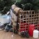 Garland “thread” 2 m, IP20, transparent thread, 20 LED, white glow, 2 modes, AAH3