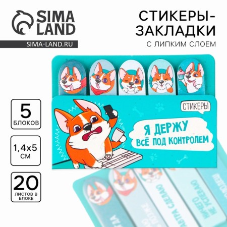 A set of stickers-fluids "I keep everything under control", 5 pcs, 20 liters