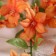 Flowers artificial "Pigo Pigo" 87 cm, orange