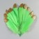A set of goose feathers 15-20 cm, 10 pcs, a green apple with a golden crumb