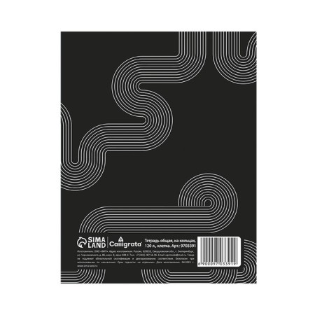 Notebook on rings A5 120 sheets in the Calligrata Graphics Cage, cover 7BC, OFSET block-3