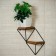 66-502 Wall stand 66-502 on 2 shelves with a tree 37x20x37 cm