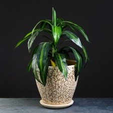Flower pot 