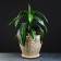 Flower pot "Antei No. 1", 20 l, diameter 35 cm, height 30 cm