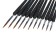 Set of nylon Calligrata