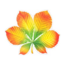 Decoration on the adhesive tape 