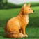 Garden figure "Fox" 18x16x25cm