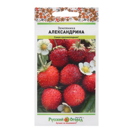 Strawberries "Alexandrina", 0.05 g