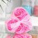 Soap roses, pink, set 6 pcs.