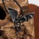 Unisex “Legends” pendant wing, black silver color on a black lace, 60 cm