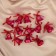 Jewelry decoration "Bells with a pattern and a bow" (set 12 pcs) 2 cm, red